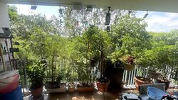 Kingsford Waterbay (D19), Apartment #537298541